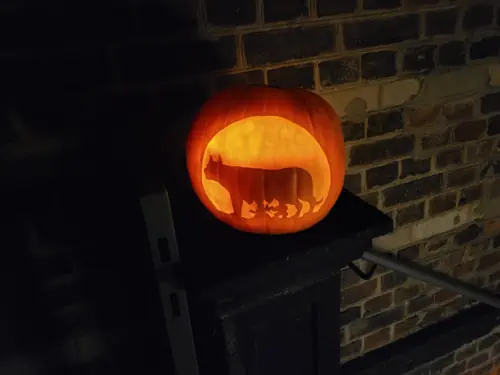 Halloween im Römergrab, Kürbis mit Lupa
